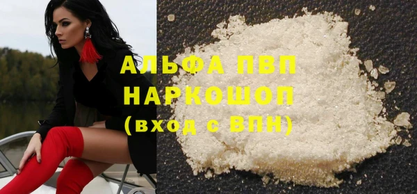 PSILOCYBIN Алзамай